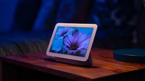 Google Nest hub