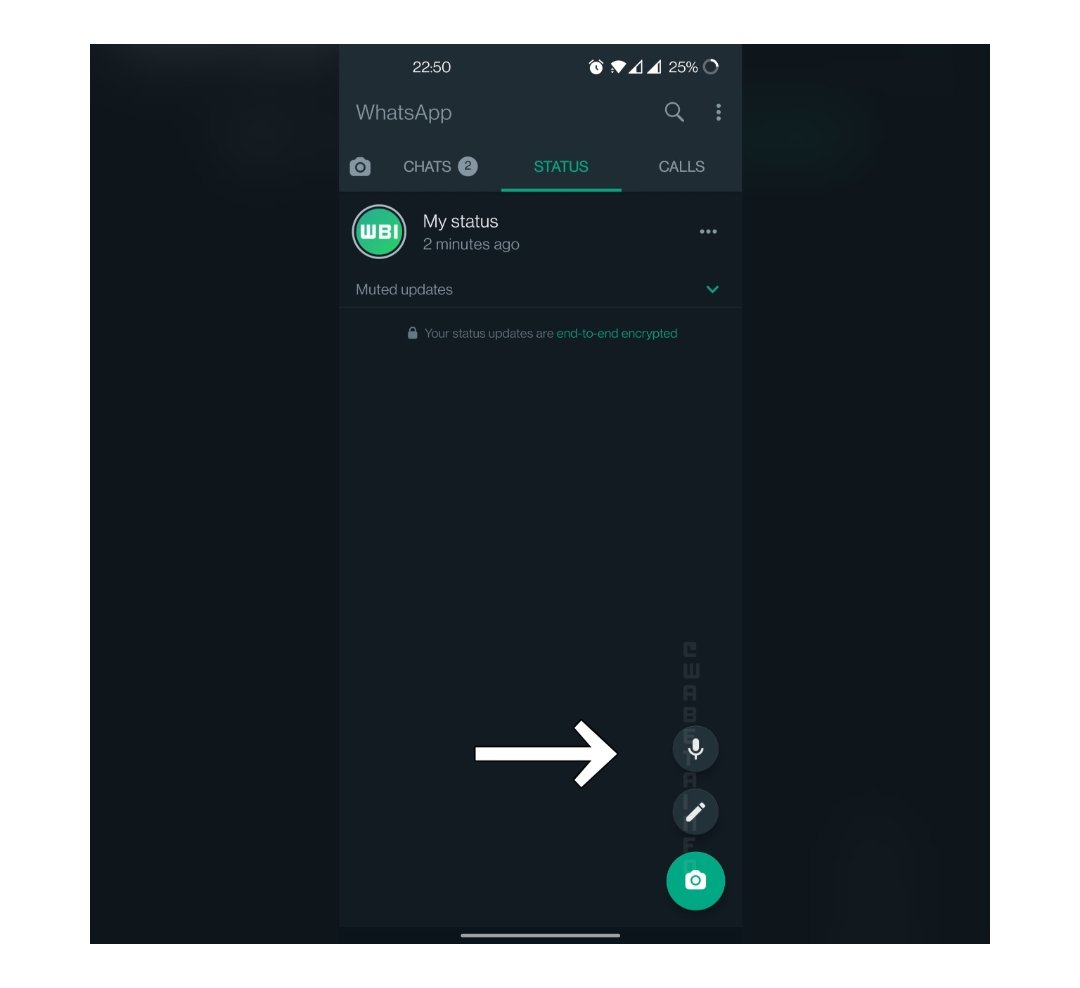 An upcoming Whatsapp feature to allow voice notes on status An upcoming Whatsapp feature to allow voice notes on status