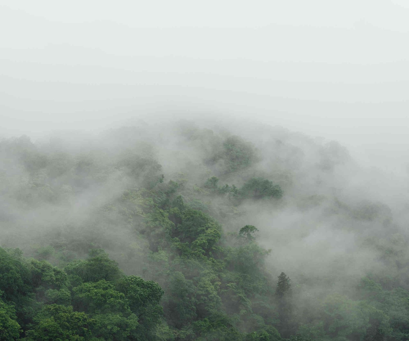 Download Google Pixel 7 and Pixel 7 Pro wallpapers