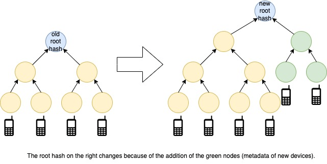 Pixel Binary Transparency
