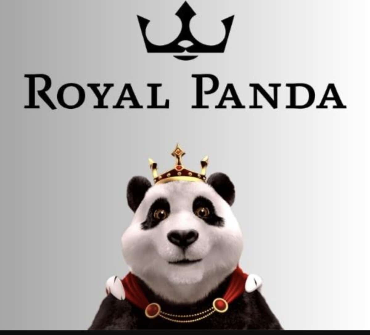 How To Play At Royal Panda Live Casino In 2023 | Best Tips & Tricks Royal Panda Live Casino